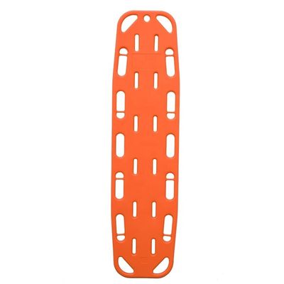 Tableau de colonne vertébrale flottante pour enfants